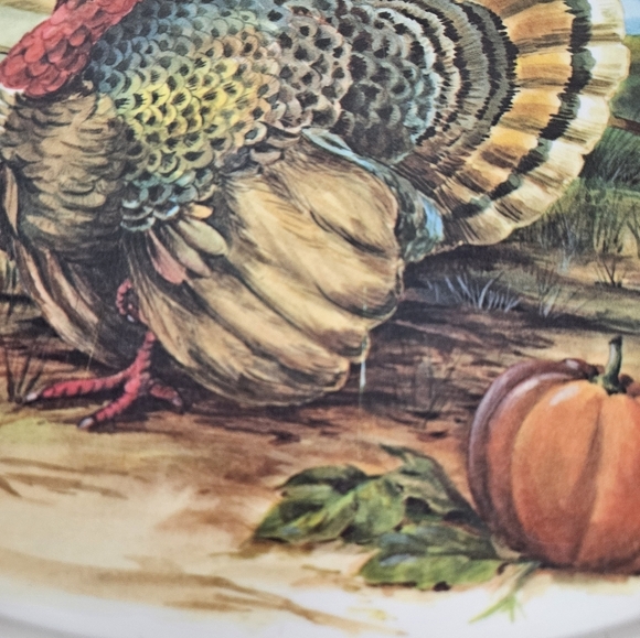 Vintage Brookpark Thanksgiving Melamine Oval Serving Platter Mid-Century Modern‎ - Picture 3 of 8